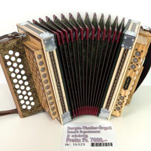 Sergio-Theiler-Örgeli Nr. 16329